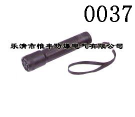 BS53防爆手电筒（IIC）